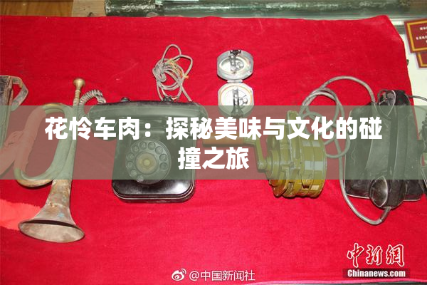 花怜车肉：探秘美味与文化的碰撞之旅