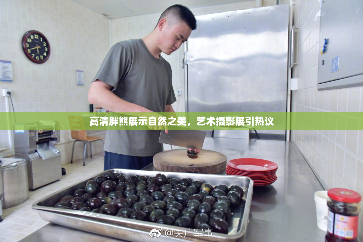 高清胖熊展示自然之美，艺术摄影展引热议