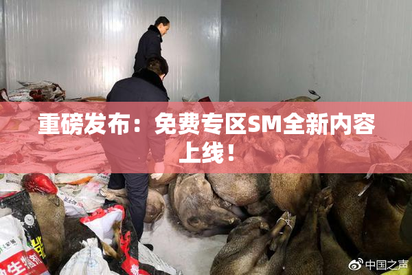 重磅发布：免费专区SM全新内容上线！