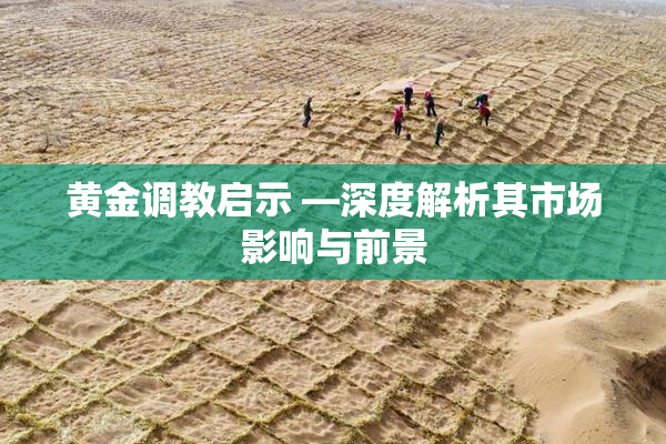 黄金调教启示 —深度解析其市场影响与前景