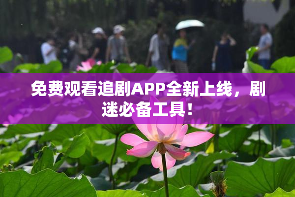 免费观看追剧APP全新上线，剧迷必备工具！