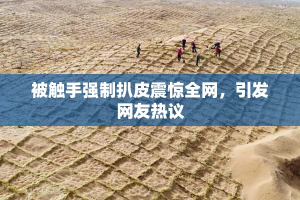 被触手强制扒皮震惊全网，引发网友热议