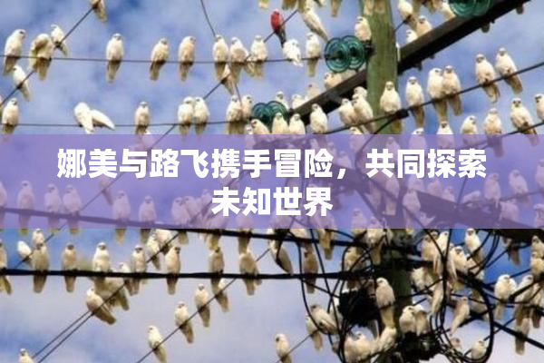 娜美与路飞携手冒险，共同探索未知世界