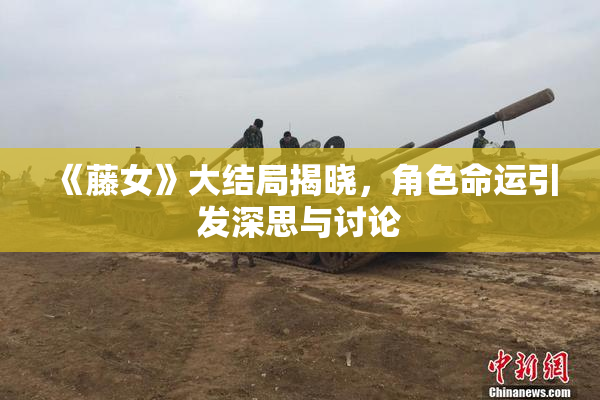 《藤女》大结局揭晓，角色命运引发深思与讨论