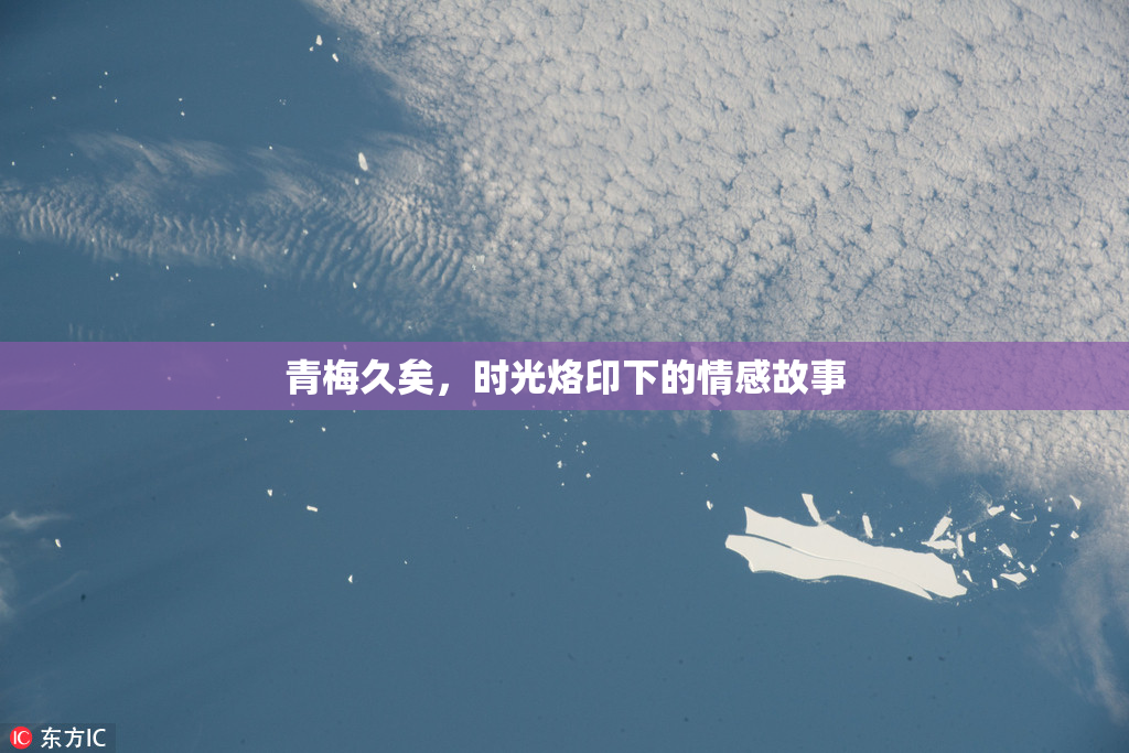 青梅久矣，时光烙印下的情感故事