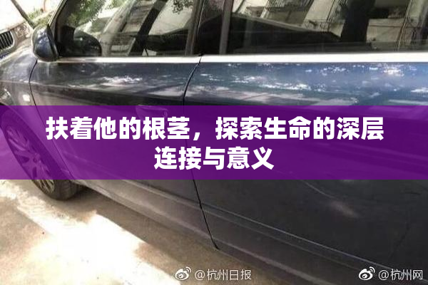扶着他的根茎，探索生命的深层连接与意义
