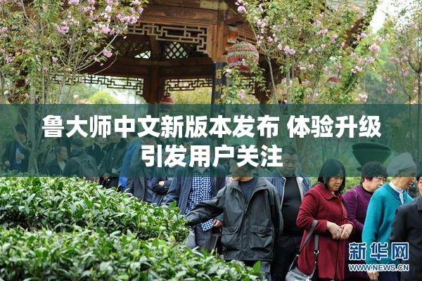 鲁大师中文新版本发布 体验升级引发用户关注