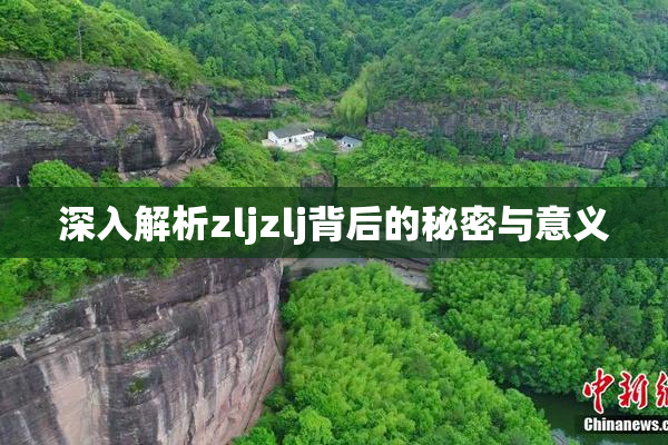 深入解析zljzlj背后的秘密与意义