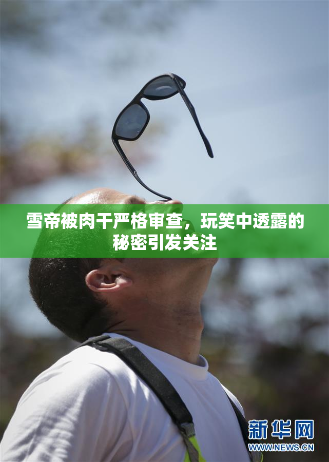 雪帝被肉干严格审查，玩笑中透露的秘密引发关注