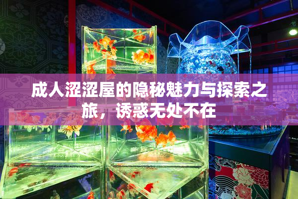 成人涩涩屋的隐秘魅力与探索之旅，诱惑无处不在