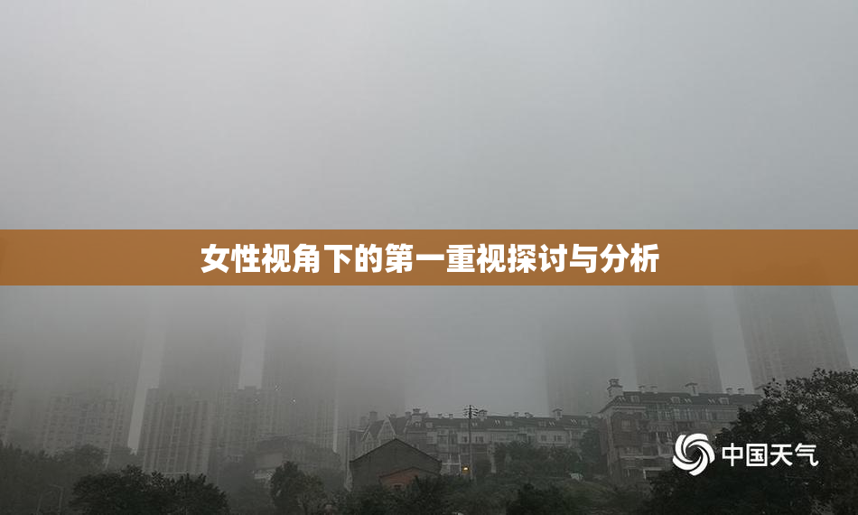 女性视角下的第一重视探讨与分析