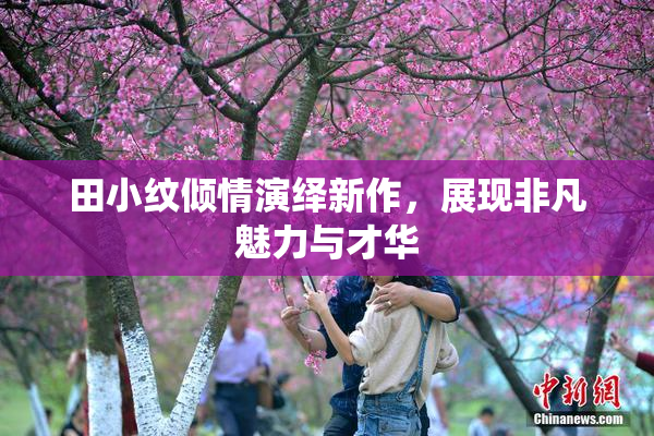 田小纹倾情演绎新作，展现非凡魅力与才华
