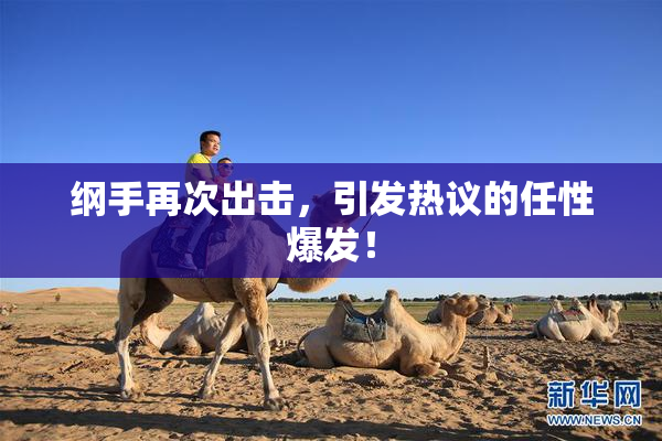 纲手再次出击，引发热议的任性爆发！