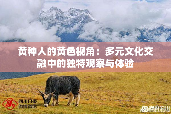 黄种人的黄色视角：多元文化交融中的独特观察与体验