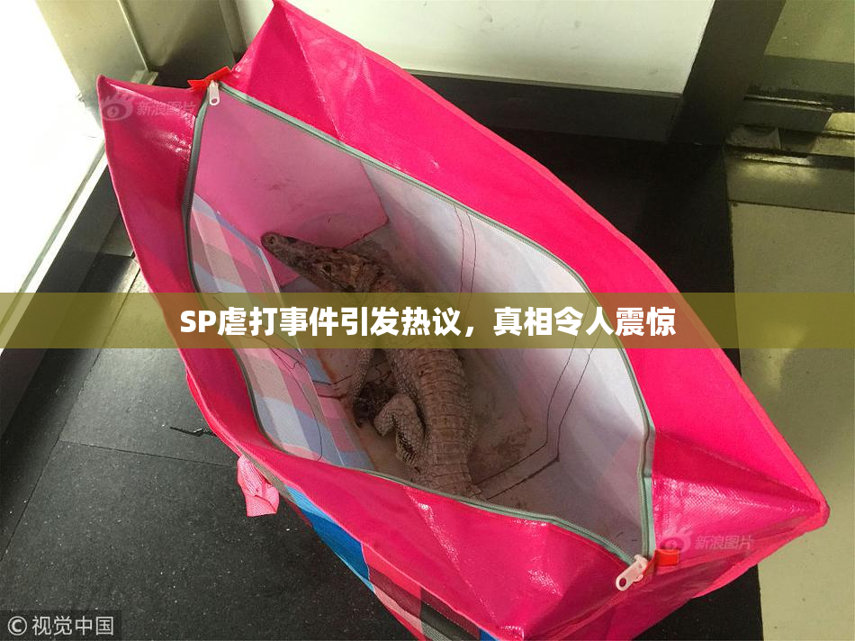 SP虐打事件引发热议，真相令人震惊