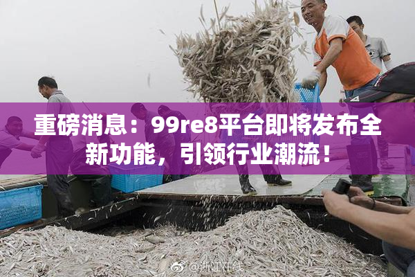 重磅消息：99re8平台即将发布全新功能，引领行业潮流！