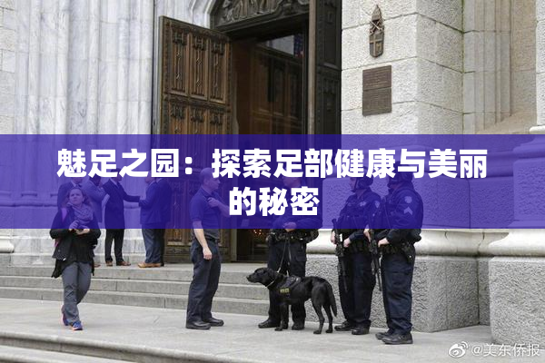 魅足之园：探索足部健康与美丽的秘密