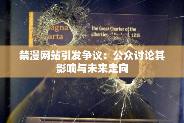 禁漫网站引发争议：公众讨论其影响与未来走向