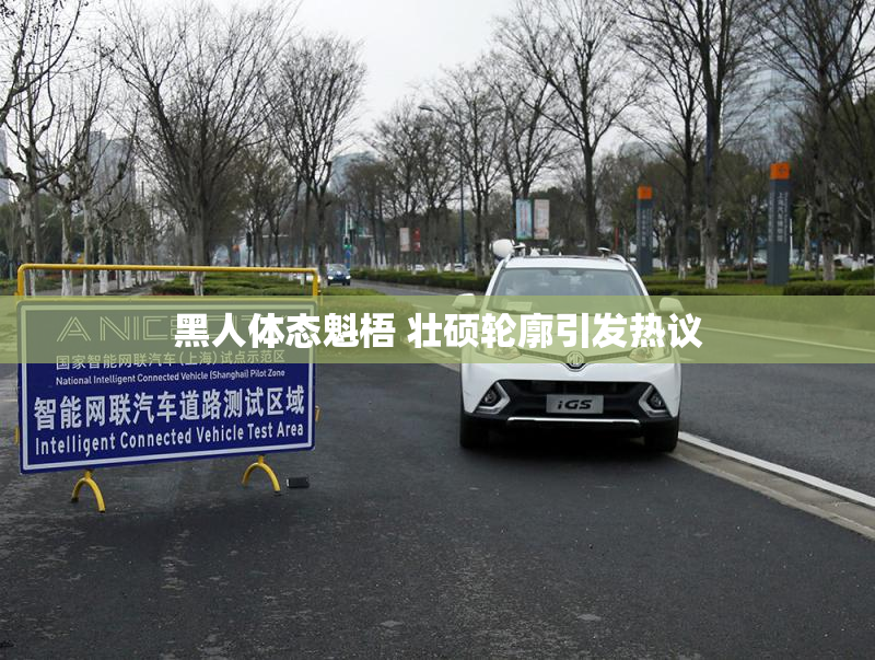 黑人体态魁梧 壮硕轮廓引发热议