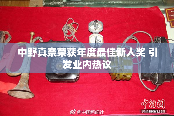 中野真奈荣获年度最佳新人奖 引发业内热议