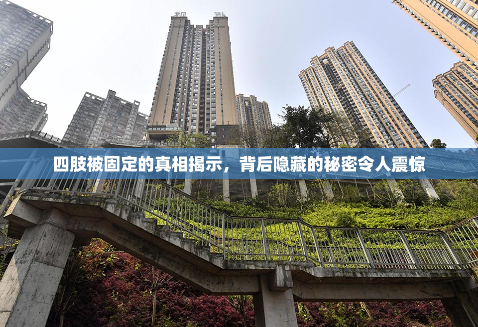 四肢被固定的真相揭示，背后隐藏的秘密令人震惊