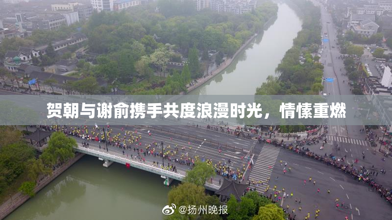 贺朝与谢俞携手共度浪漫时光，情愫重燃