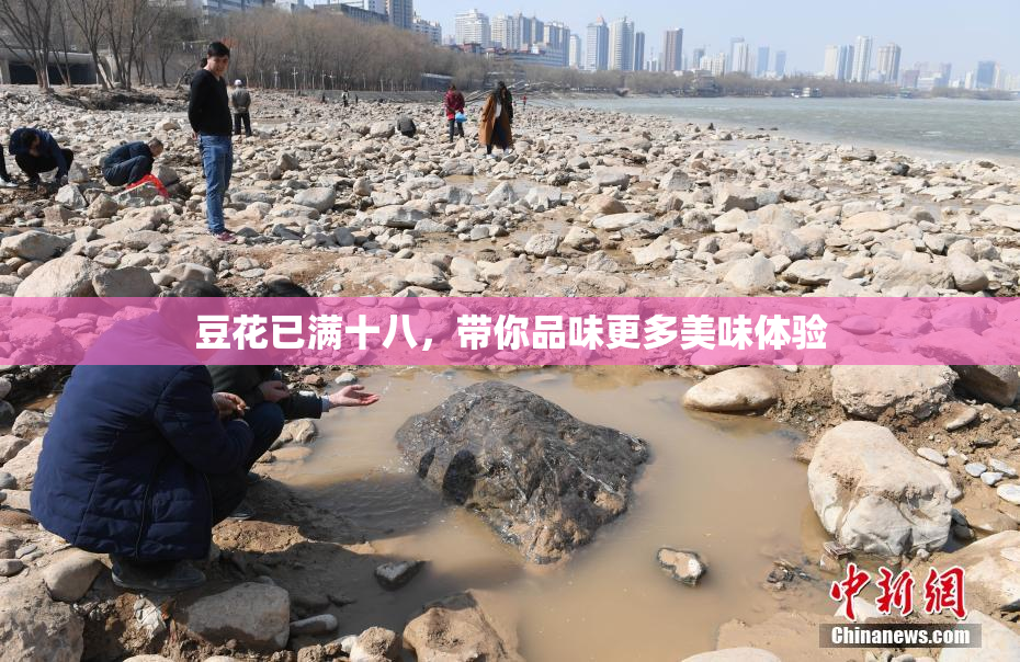 豆花已满十八，带你品味更多美味体验