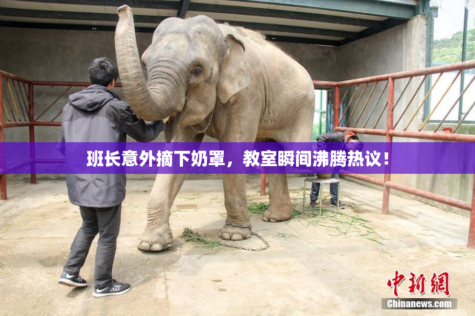 班长意外摘下奶罩，教室瞬间沸腾热议！