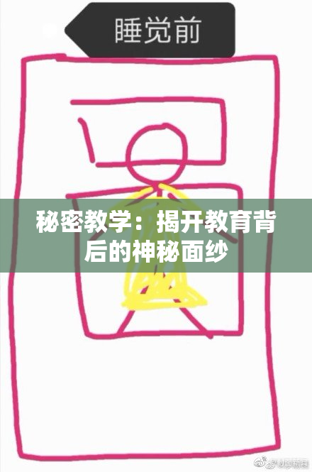 秘密教学：揭开教育背后的神秘面纱