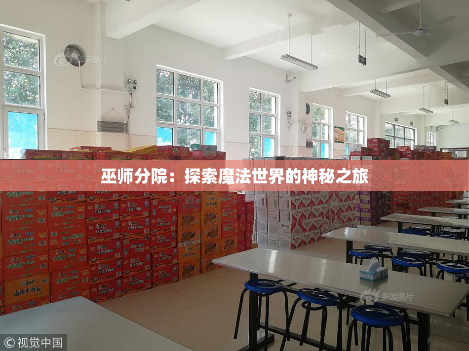巫师分院：探索魔法世界的神秘之旅