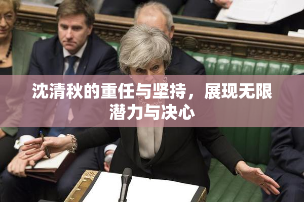 沈清秋的重任与坚持，展现无限潜力与决心