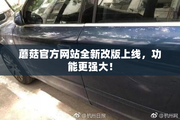蘑菇官方网站全新改版上线，功能更强大！