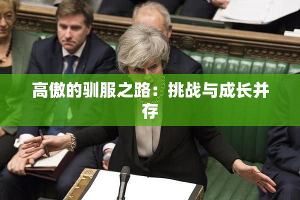 高傲的驯服之路：挑战与成长并存