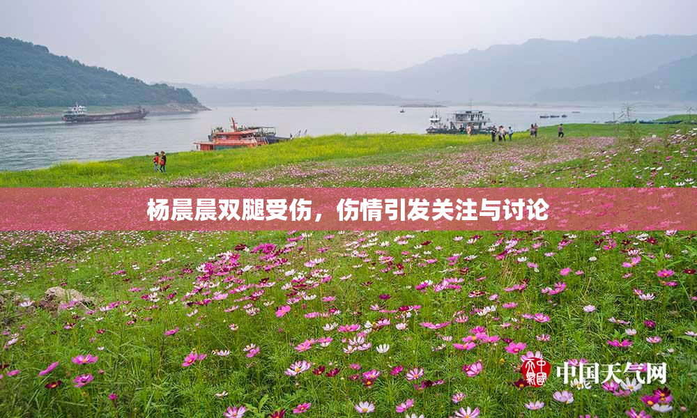 杨晨晨双腿受伤，伤情引发关注与讨论