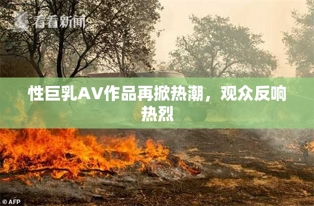 性巨乳AV作品再掀热潮，观众反响热烈