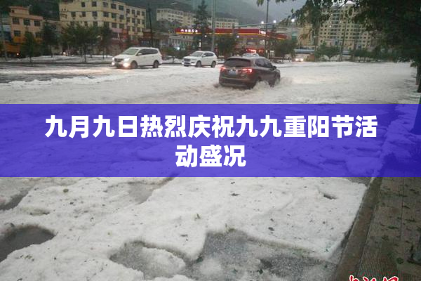 九月九日热烈庆祝九九重阳节活动盛况