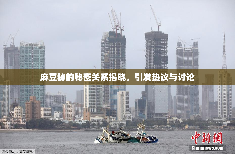 麻豆秘的秘密关系揭晓，引发热议与讨论