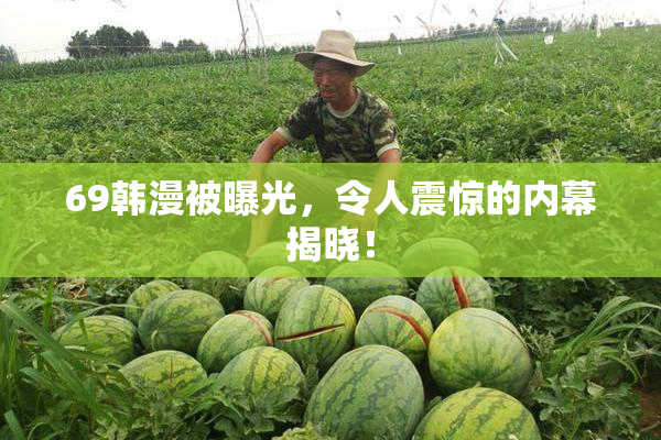 69韩漫被曝光，令人震惊的内幕揭晓！