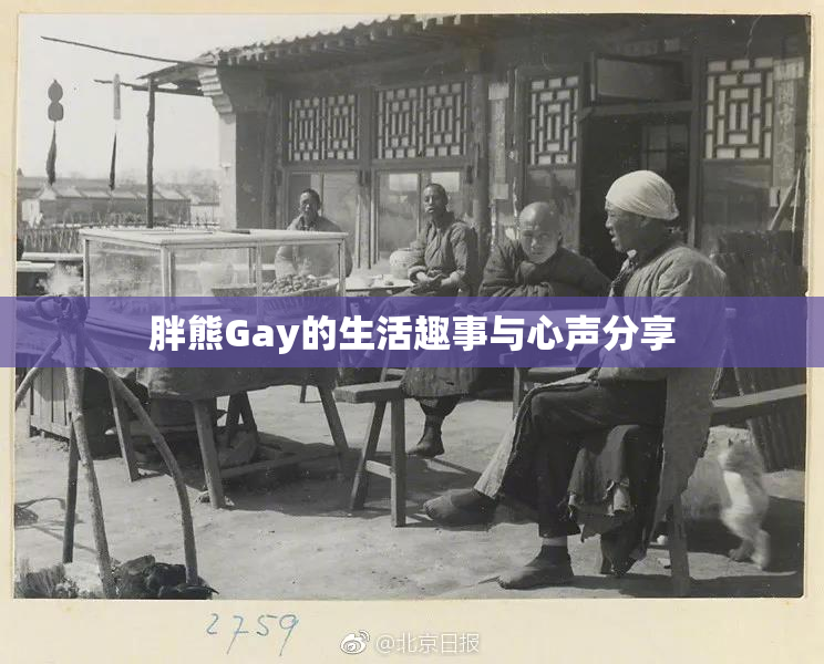 胖熊Gay的生活趣事与心声分享