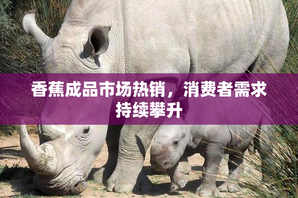 香蕉成品市场热销，消费者需求持续攀升