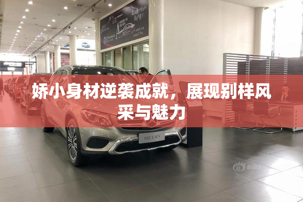 娇小身材逆袭成就，展现别样风采与魅力