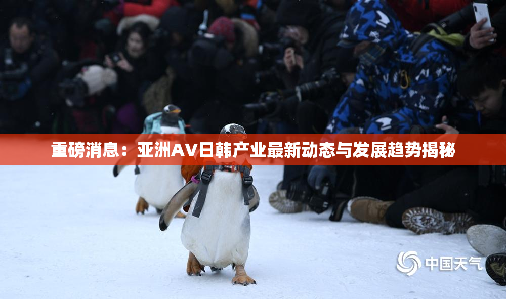 重磅消息：亚洲AV日韩产业最新动态与发展趋势揭秘