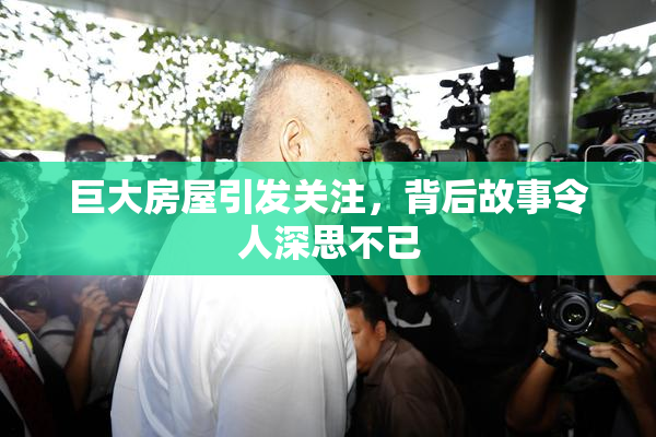 巨大房屋引发关注，背后故事令人深思不已