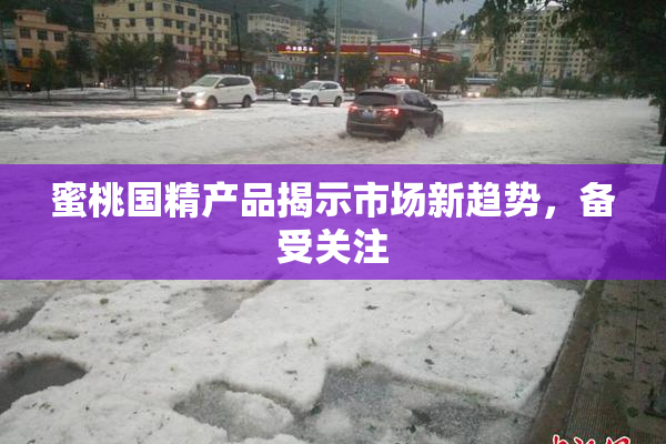 蜜桃国精产品揭示市场新趋势，备受关注