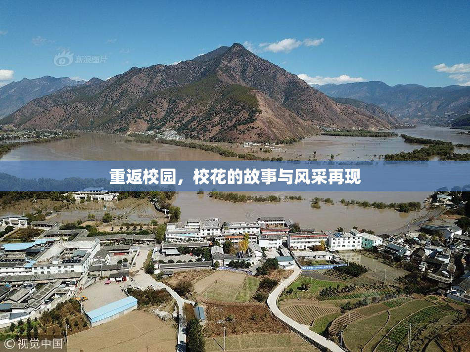 重返校园，校花的故事与风采再现