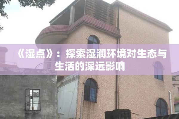 《湿点》：探索湿润环境对生态与生活的深远影响
