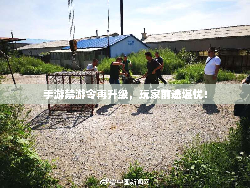 手游禁游令再升级，玩家前途堪忧！