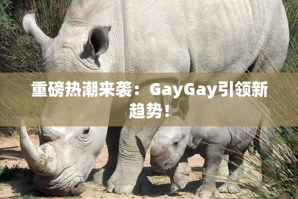 重磅热潮来袭：GayGay引领新趋势！