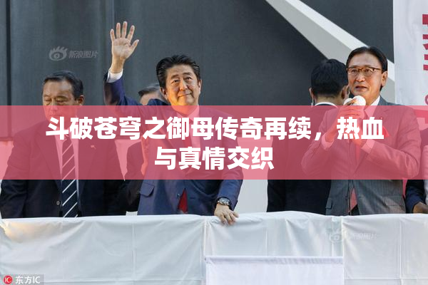 斗破苍穹之御母传奇再续，热血与真情交织