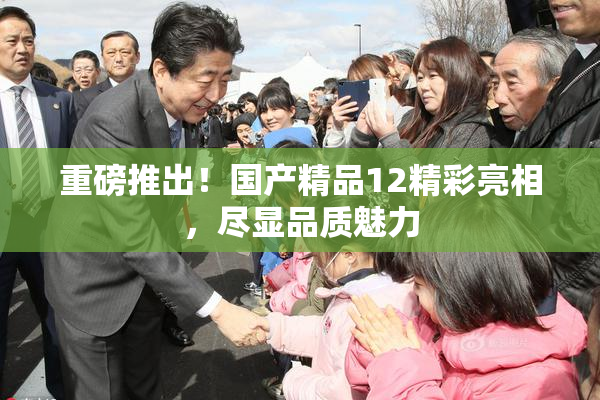 重磅推出！国产精品12精彩亮相，尽显品质魅力